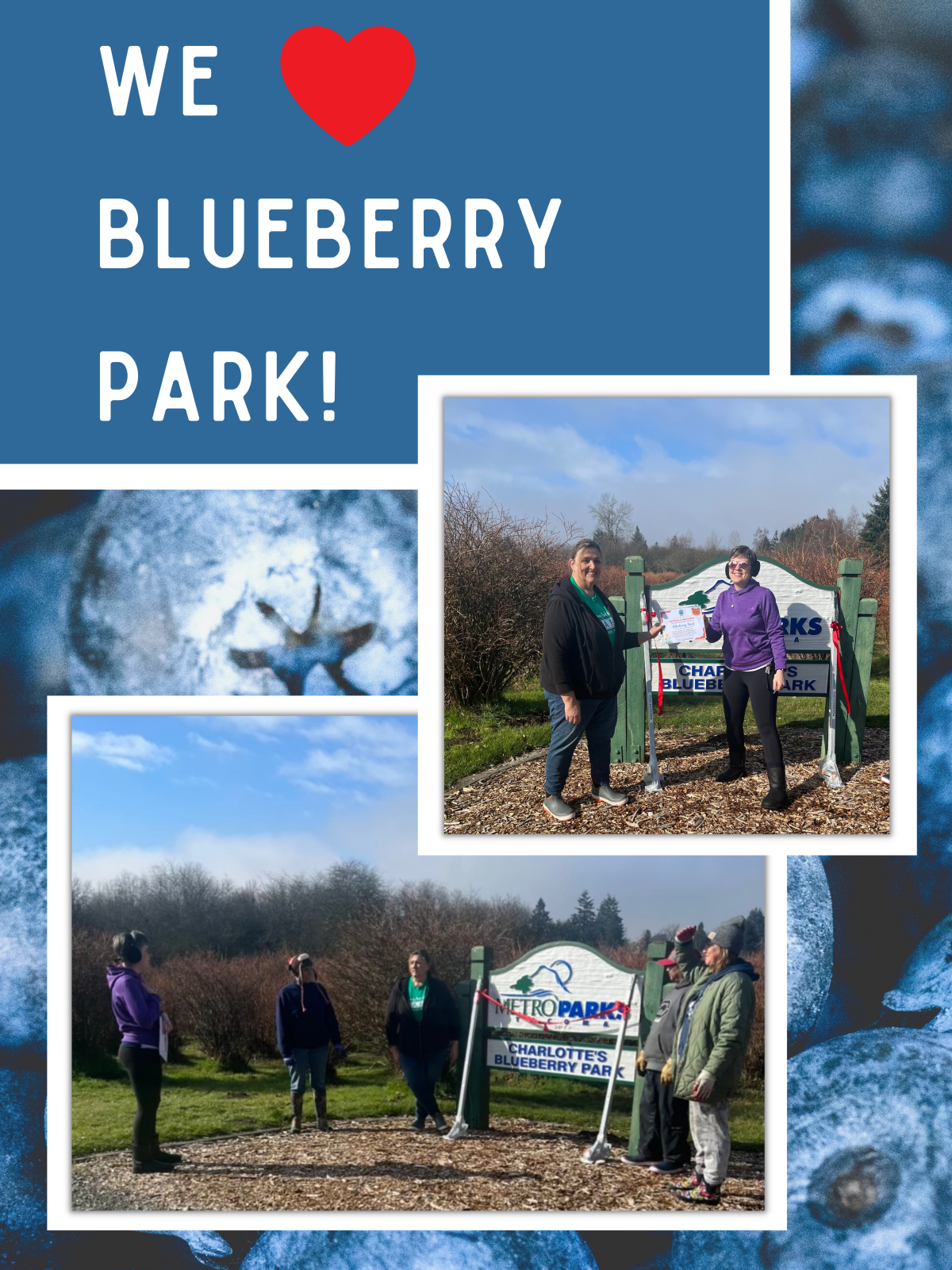 We Heart Blueberry Park!